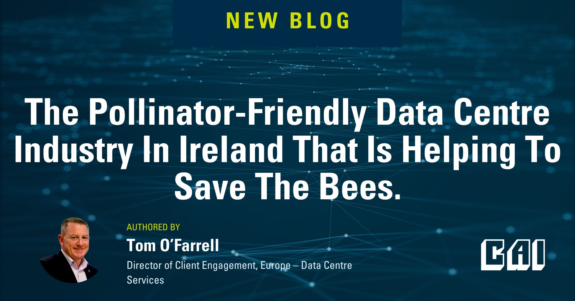 The Pollinator-Friendly Data Centre Industry in Ireland that is helping to save the bees.